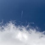 全面解析BT种子搜索软件的使用技巧与推荐 muyc7