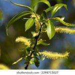 如何顺利完成战网注册并畅玩游戏 n2bv3zz