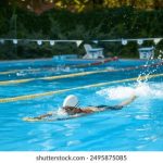 全面解析种子搜索神器网页版的使用技巧与优势 q7s29pu1