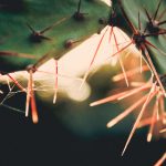 奇奇动漫网:探索无限动漫世界,尽享精彩二次元体验 qk5hq