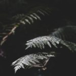 七七看片:探索影视世界的无限魅力与乐趣 s87z3sf