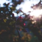 多多视频官网电脑版:畅享高清影视,轻松下载与观看体验 s8abnuh