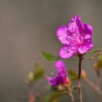 夸克网盘格式:如何选择和管理文件格式以提升存储效率 sq97wmjcx