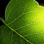 国内黑料网:揭秘网络背后的不为人知的真相与故事 td1c28e2