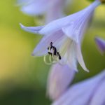 如何快速找到并下载快手官方最新版本 th0uqhb3