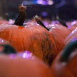 全面解析BT搜索大全:获取资源的最佳途径 ucavk