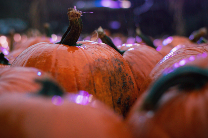 全面解析BT搜索大全:获取资源的最佳途径 全面解析BT搜索大全:获取资源的最佳途径