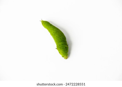 多多磁力:探索无限资源共享的全新平台体验 多多磁力:探索无限资源共享的全新平台体验