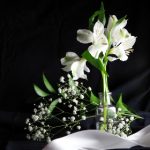 少先队员什么意思:探索少先队员的历史背景与意义 xaf9nvn9gu