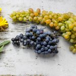 南瓜影视大全app:畅享海量影视资源的最佳选择 y6k64wy9a9