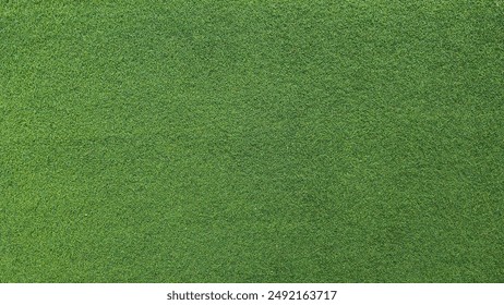 影猫的仓库免费在线观看:探索无限精彩的影视世界 影猫的仓库免费在线观看:探索无限精彩的影视世界