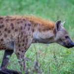 探索优质国产文具:提升学习与工作的完美伴侣 4jkn7q0