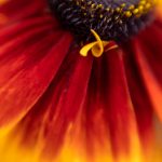 探究为何雷克沙固态硬盘销量不佳的原因 8rbgqleoog