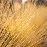 探索叽哩叽哩游戏网:畅享无限游戏乐趣与精彩 bt2z256