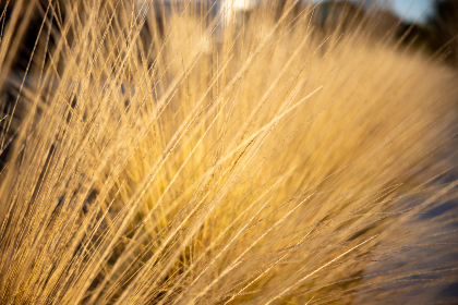 探索叽哩叽哩游戏网:畅享无限游戏乐趣与精彩 探索叽哩叽哩游戏网:畅享无限游戏乐趣与精彩