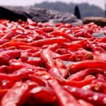 探索ACG在线导航:畅游二次元世界的最佳指南 i1xckh5ap