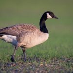 探索yw.5567.com:全面解析其功能与特色 kcwdk54