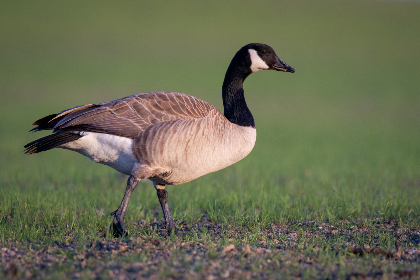 探索yw.5567.com:全面解析其功能与特色 探索yw.5567.com:全面解析其功能与特色