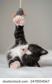 探究传教士姿势的历史渊源与文化背景 探究传教士姿势的历史渊源与文化背景