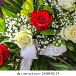 探索磁力引擎搜索的未来与应用前景 oiwx7b9