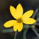 探索最全未删减版韩漫画网站,尽享精彩漫画世界 pniq8i