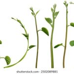 探索磁力引擎的原理与应用前景 q7j9zmh