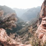 探索Vicineko官方网站:最新产品与服务一览 tf5fnp