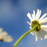 探索最全的MOD官方网站,畅享游戏无限乐趣 vy9w0dmh