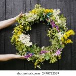 探索优质学习网站,畅享精彩漫画世界 z9lult