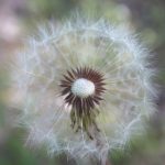 探索4hu TV在GitHub上的最新项目与功能 zt0lb08hb3